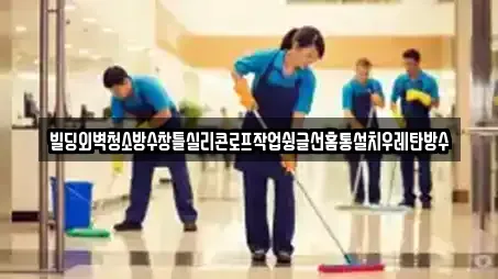 빌딩외벽청소방수창틀실리콘로프작업슁글선홈통설치우레탄방수