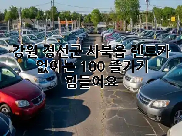 강원 정선군 사북읍, 렌트카 없이는 100% 즐기기 힘들어요! 🚗💨
