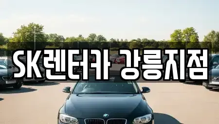 강원 강릉시 옥천동 장기렌트카 전문 SK렌터카 강릉지점