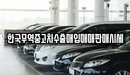 강원 강릉시 옥천동 중고차매입 전문 한국무역중고차수출매입매매판매시세