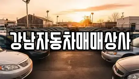 강원특별자치도 강릉시 신석동 중고차 전문 강남자동차매매상사