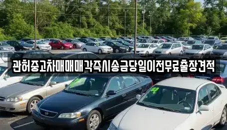 강원특별자치도 강릉시 신석동 렌트카,단기렌트카,장기렌트카,중고차,중고차매매,중고차매입