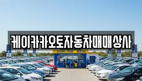 강원특별자치도 강릉시 신석동 중고차 전문 케이카카오토자동차매매상사