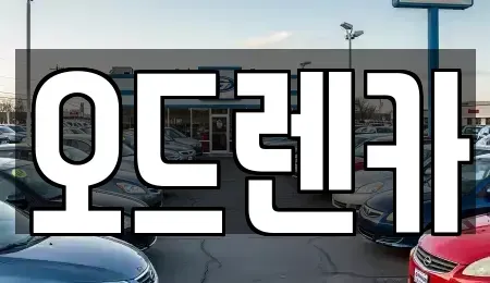 경기 부천시 소사구 심곡본동 단기렌트카 전문 오드렌카
