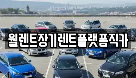 경기 부천시 소사구 심곡본동 장기렌트카 전문 월렌트장기렌트플랫폼직카