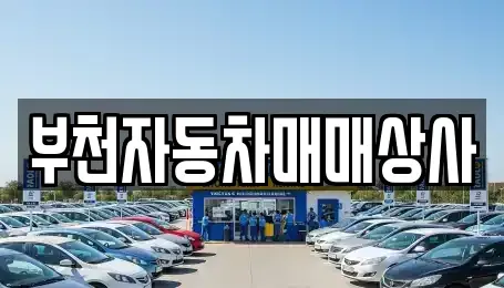 경기 부천시 소사구 심곡본동 중고차매매 전문 부천자동차매매상사
