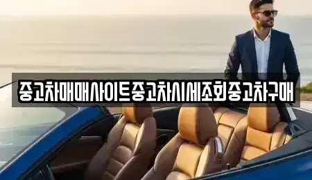 경기 부천시 소사구 심곡본동 중고차매매 전문 중고차매매사이트중고차시세조회중고차구매