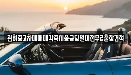 경기 양주시 장흥면 중고차 전문 관허중고차매매매각즉시송금당일이전무료출장견적