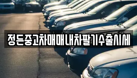 경기 양주시 장흥면 중고차 전문 정든중고차매매내차팔기수출시세