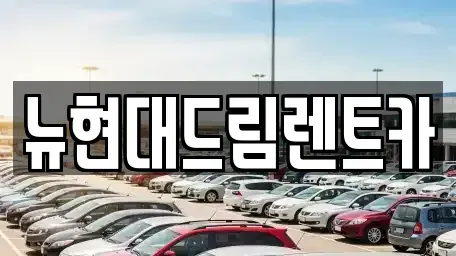 경기 의왕시 청계동 렌트카 전문 뉴현대드림렌트카