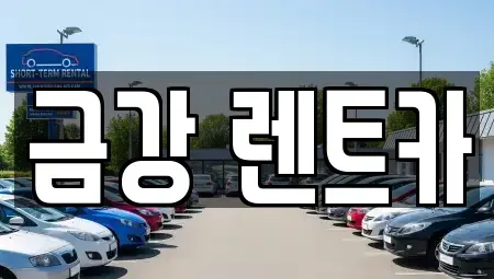 경기도 수원시 팔달구 구천동 렌트카 전문 금강 렌트카