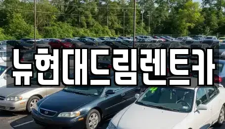 경기도 수원시 팔달구 구천동 렌트카 전문 뉴현대드림렌트카