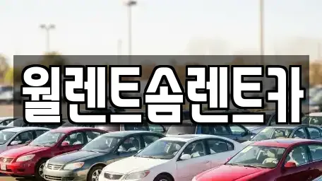 경기도 수원시 팔달구 구천동 렌트카 전문 월렌트솜렌트카