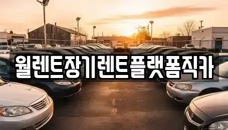 경기도 수원시 팔달구 구천동 장기렌트카 전문 월렌트장기렌트플랫폼직카