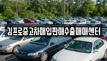 경기도 수원시 팔달구 구천동 중고차매입 전문 김프로중고차매입판매수출매매센터