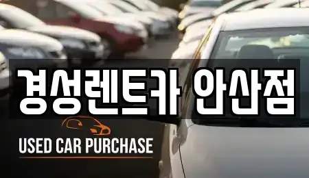 경기도 안산시 단원구 선부동 렌트카 전문 경성렌트카 안산점