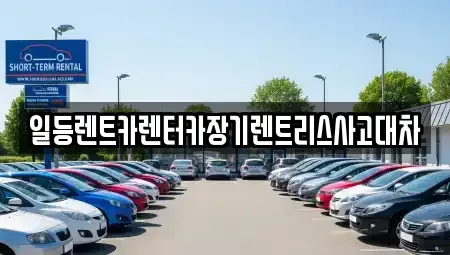 경기도 안산시 단원구 선부동 장기렌트카 전문 일등렌트카렌터카장기렌트리스사고대차