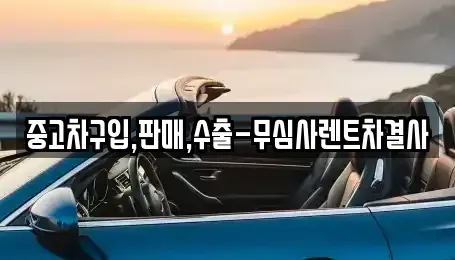 경기도 안산시 단원구 선부동 중고차매매 전문 중고차구입,판매,수출-무심사렌트차결사