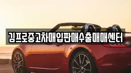 경기도 안산시 단원구 선부동 중고차매입 전문 김프로중고차매입판매수출매매센터
