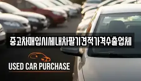 경기도 안산시 단원구 선부동 중고차매입 전문 중고차매입시세내차팔기견적가격수출업체