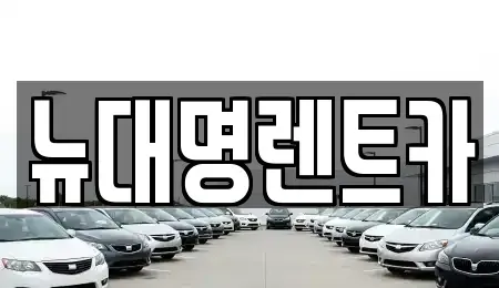 경기도 안양시 동안구 비산동 렌트카 전문 뉴대명렌트카