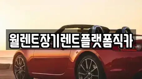 경기도 안양시 동안구 비산동 장기렌트카 전문 월렌트장기렌트플랫폼직카