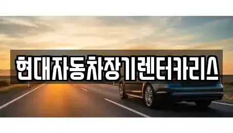 경기도 안양시 동안구 비산동 장기렌트카 전문 현대자동차장기렌터카리스