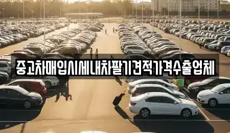 경기도 안양시 동안구 비산동 중고차매입 전문 중고차매입시세내차팔기견적가격수출업체