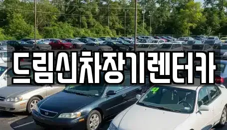 경기도 의정부시 산곡동 장기렌트카 전문 드림신차장기렌터카