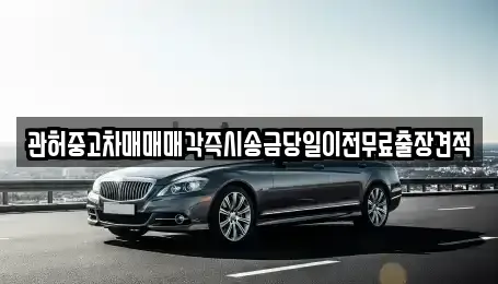 경기도 의정부시 산곡동 중고차 전문 관허중고차매매매각즉시송금당일이전무료출장견적