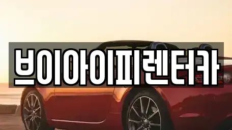 경기도 화성시 중동 렌트카 전문 브이아이피렌터카