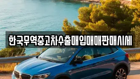 경남 김해시 외동 중고차 전문 한국무역중고차수출매입매매판매시세
