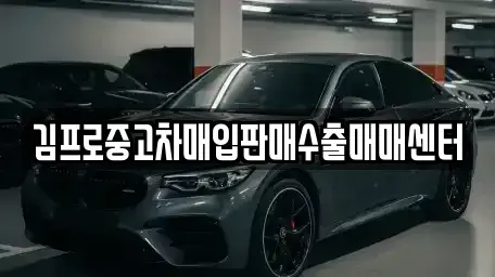 경남 창원시 성산구 덕정동 중고차매입 전문 김프로중고차매입판매수출매매센터