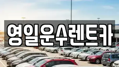 경남 합천군 율곡면 렌트카 전문 영일운수렌트카