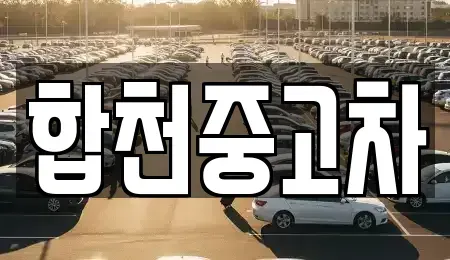 경남 합천군 율곡면 중고차 전문 합천중고차