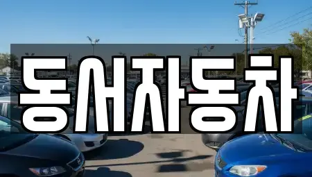 경북 포항시 남구 호동 중고차 전문 동서자동차