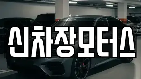 경북 포항시 남구 호동 중고차 전문 신차장모터스