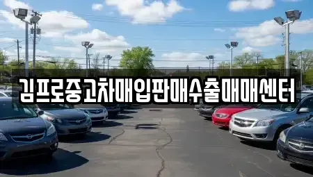경북 포항시 남구 호동 중고차매입 전문 김프로중고차매입판매수출매매센터