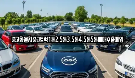 경북 포항시 남구 호동 중고차매입 전문 중고화물차중고트럭1톤2.5톤3.5톤4.5톤5톤매매수출매입