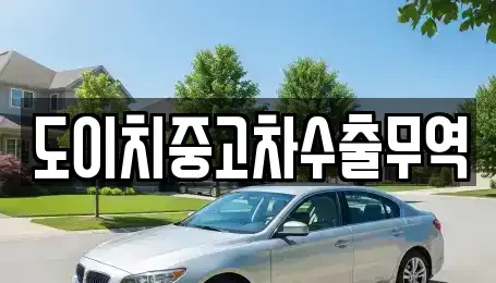 경상남도 창원시 마산합포구 신포동2가 중고차매매 전문 도이치중고차수출무역