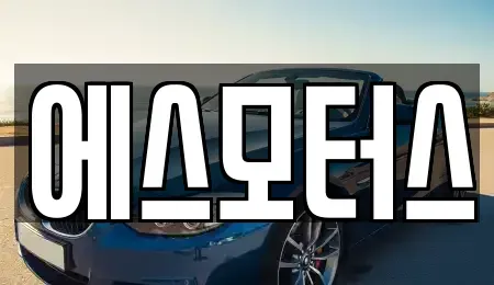 경상남도 창원시 마산합포구 신포동2가 중고차매매 전문 에스모터스
