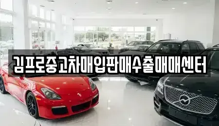 경상남도 창원시 마산합포구 신포동2가 중고차매입 전문 김프로중고차매입판매수출매매센터