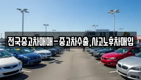 경상남도 창원시 마산합포구 신포동2가 중고차매입 전문 전국중고차매매-중고차수출,사고노후차매입