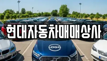 경상북도 김천시 백옥동 중고차 전문 현대자동차매매상사