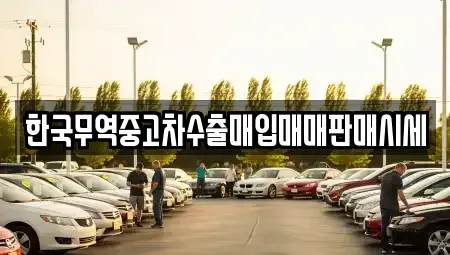 경상북도 김천시 백옥동 중고차매입 전문 한국무역중고차수출매입매매판매시세