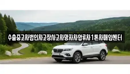 경상북도 영덕군 중고차매매 전문 수출중고차법인차고장사고차망자차압류차1톤차매입센터