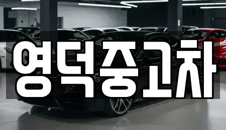 경상북도 영덕군 중고차매매,단기렌트카,중고차매입,장기렌트카,중고차,렌트카