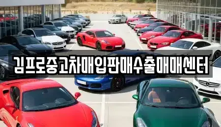 경상북도 영덕군 중고차매입 전문 김프로중고차매입판매수출매매센터