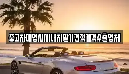 경상북도 영덕군 중고차매입 전문 중고차매입시세내차팔기견적가격수출업체
