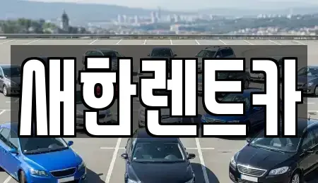 경상북도 영천시 성내동 렌트카 전문 새한렌트카